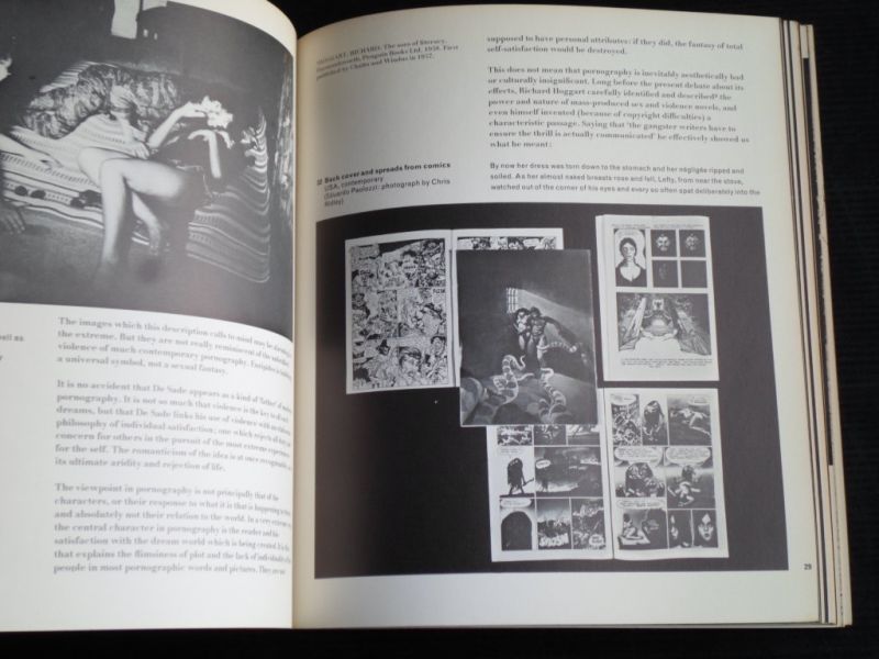 Baynes, Ken - Art and Society: Sex