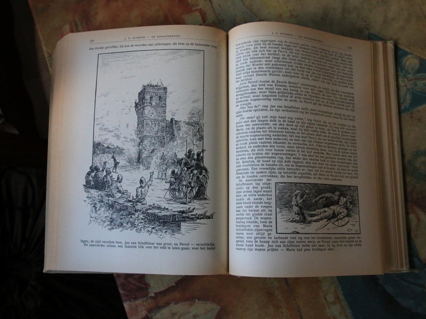 Oltmans - De Schaapherder