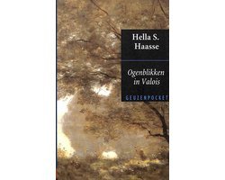 Hella S. Haasse - Ogenblikken in Valois