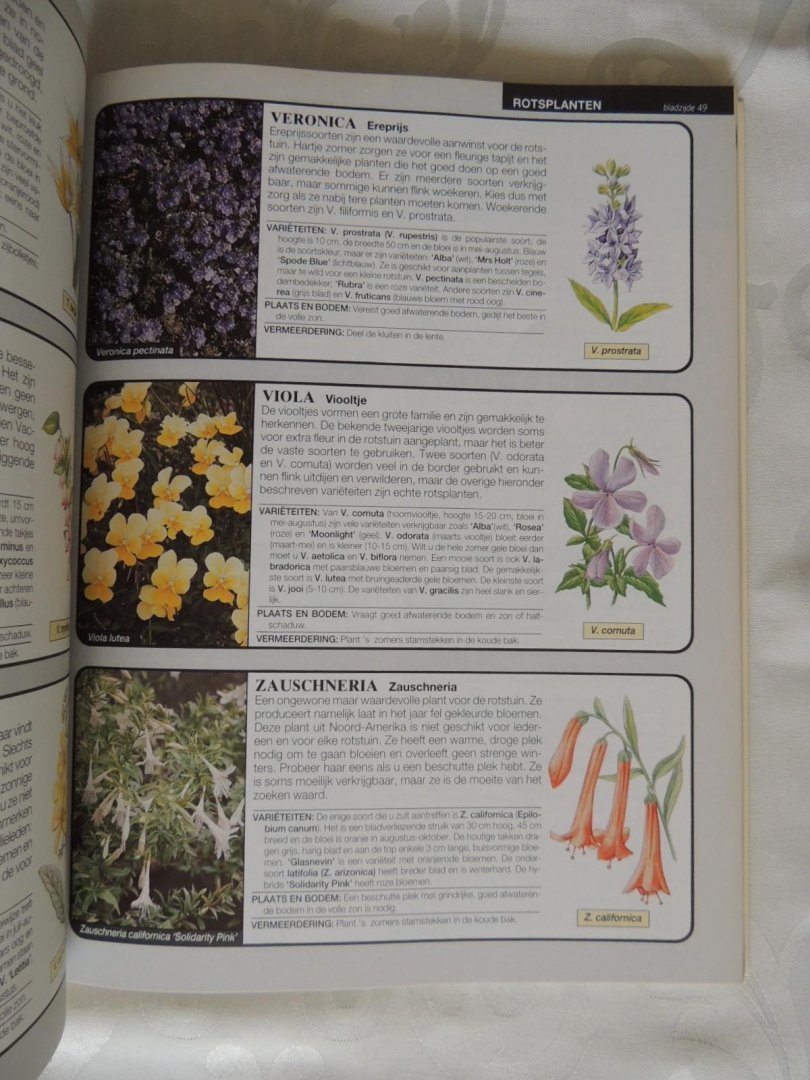 Hessayon, D G - Het complete vijverboek vijver boek (De gids voor tuinvijvers en rotstuinen)