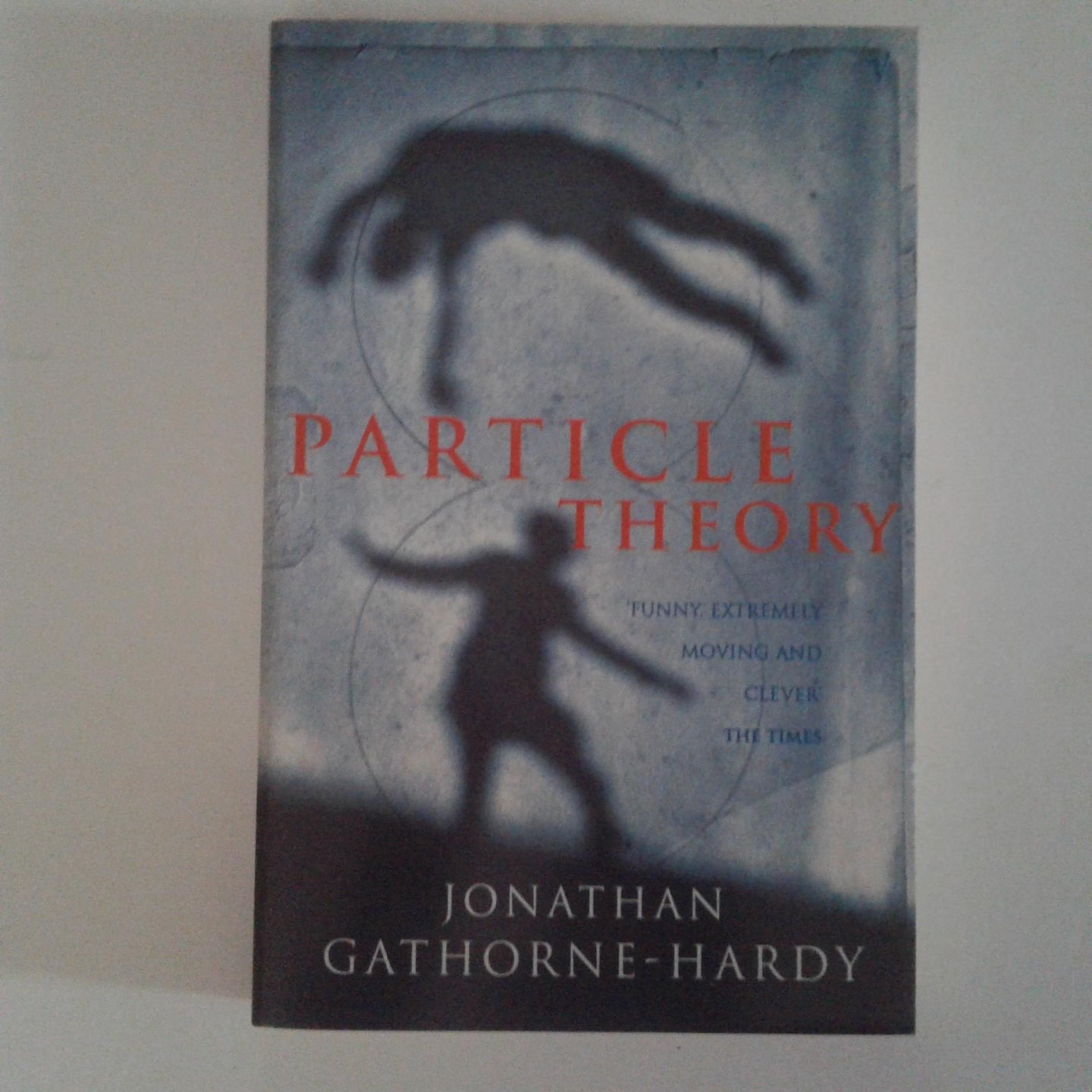 Gathorne-Hardy, Jonathan - Particle Theory