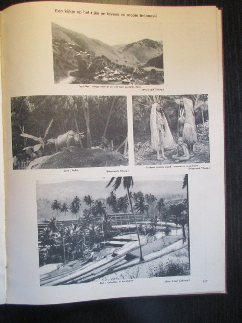 Gespecialiseerde Medewerkers onder leiding van Henri De Kimpe - De vijf werelddelen. De Wereld in woord, in kaart, in beeld