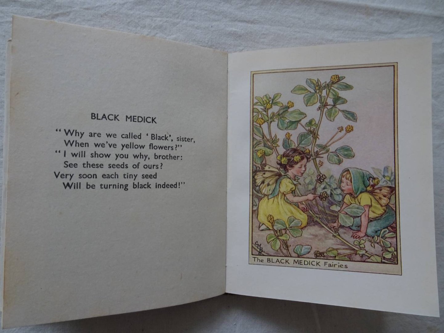 Barker, Cicely Mary. - Flower Fairies of the Wayside.