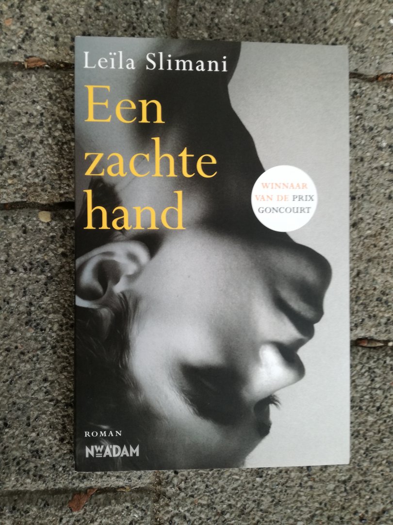 Slimani, Leïla - Een zachte hand