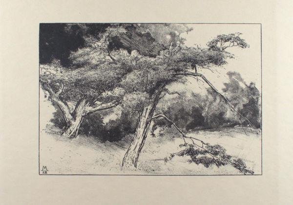 Mees, Fokko, Dirk Nijland, A. Derksen van Angeren, S. Moulijn e.a. - Vereeniging tot Bevordering der Grafische Kunst. 12 Prenten door leden der Vereeniging.