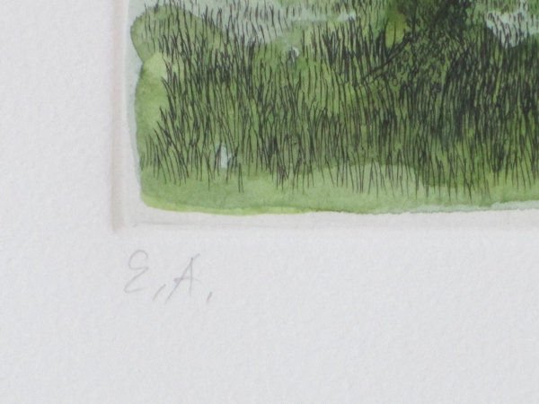 Vroom, Jean Paul. - Metamorfose.