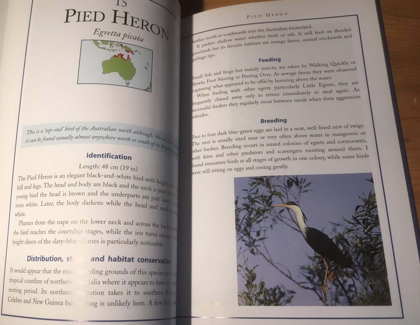 Hancock, James - Herons & Egrets of the World - a photographic journey