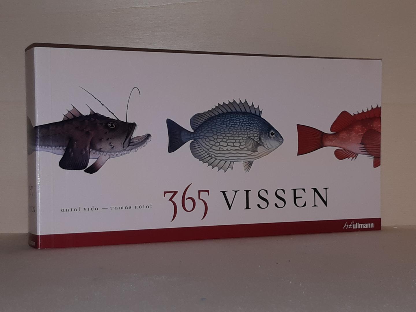 Vida, Antal - 365 Vissen
