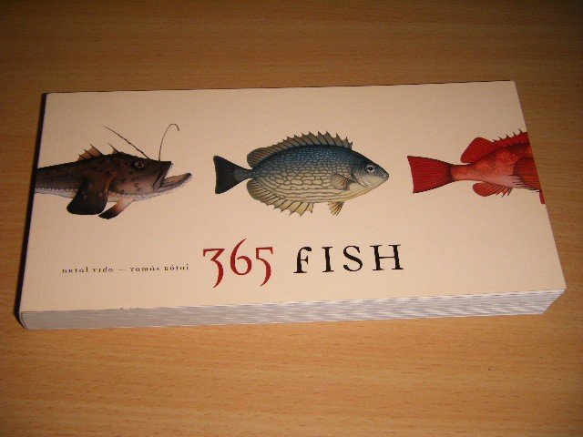Antal Vida and Tamas Kotai - 365 Fish
