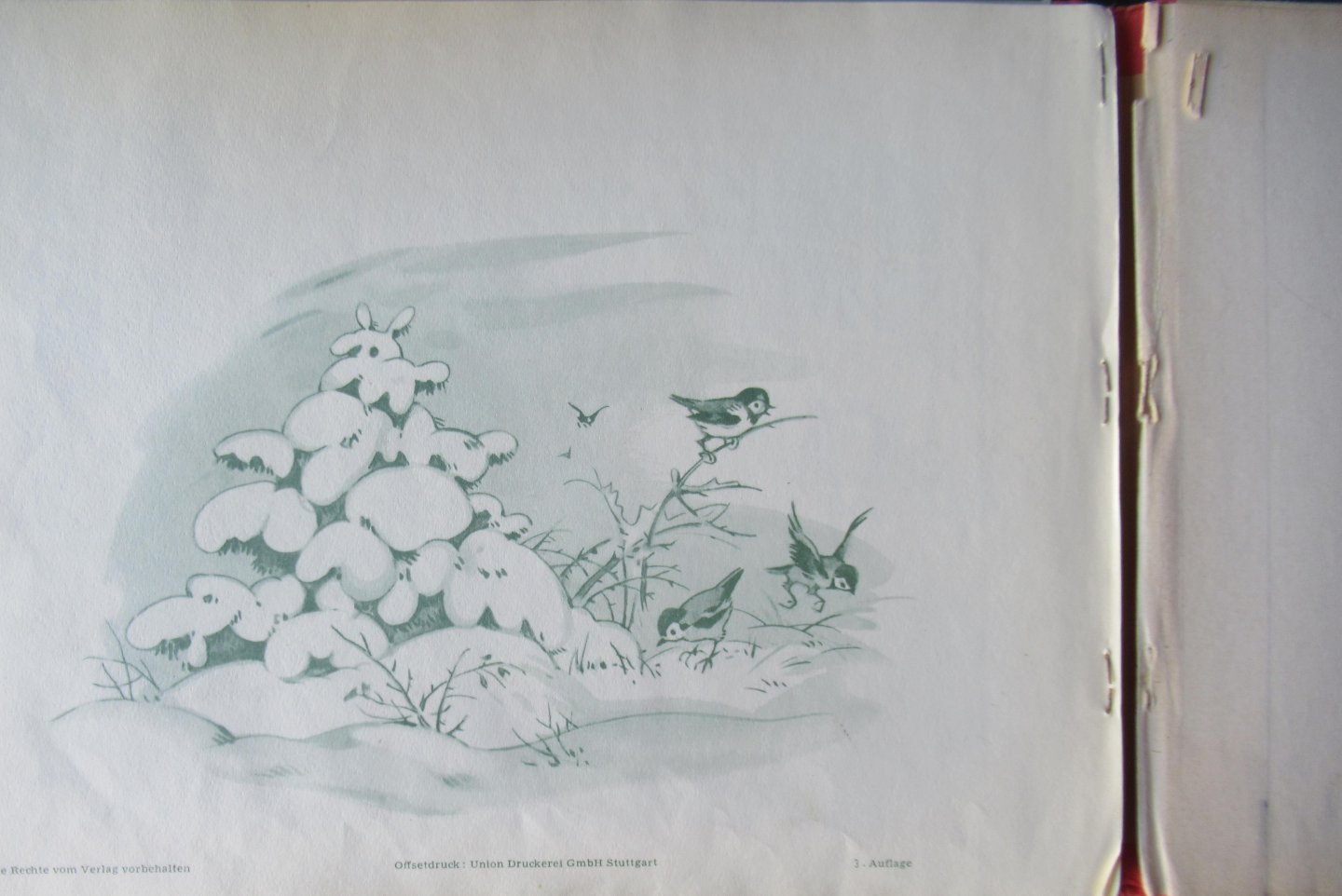 Hahn, Lena - Teddys Weihnachten