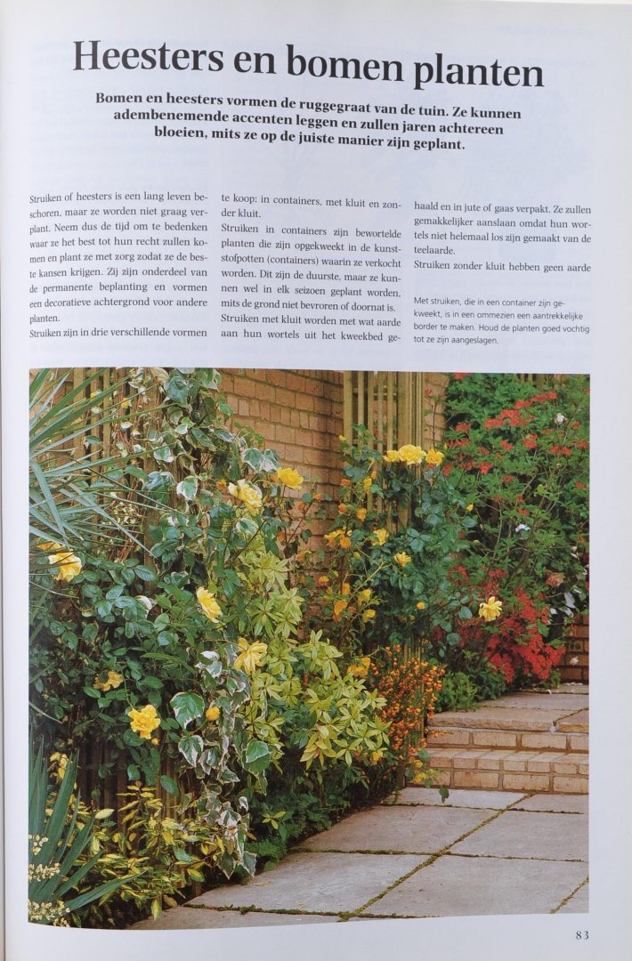 Reader's Digest - Praktisch Tuinonderhoud - Succesvol tuinieren
