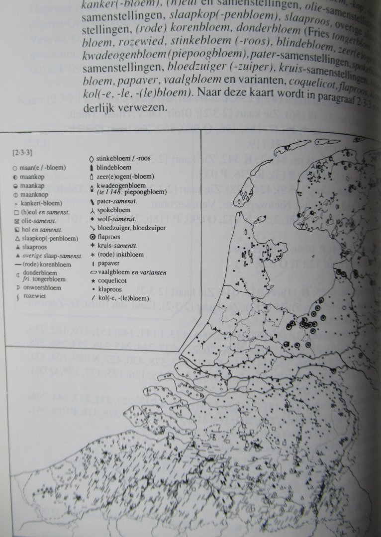 Brok, Han - Enkele bloemnamen in de Nederlandse dialekten