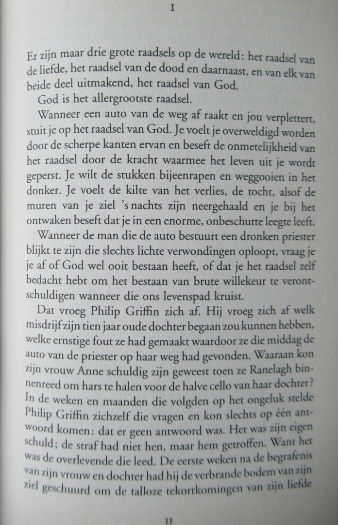 Williams, Niall - Hemelse muziek - Een beter leven