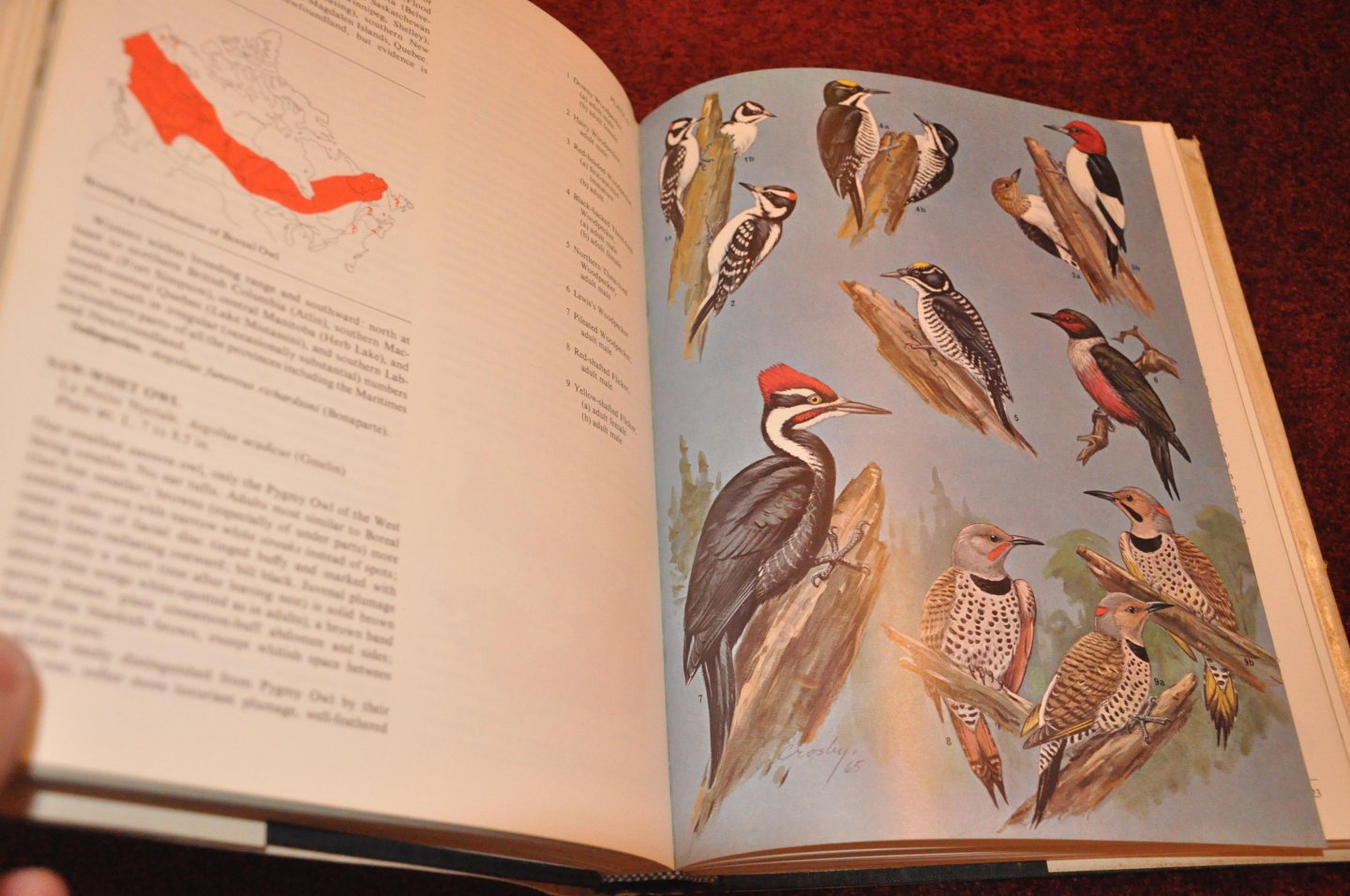 Godfrey, W. Earl - The Birds of Canada