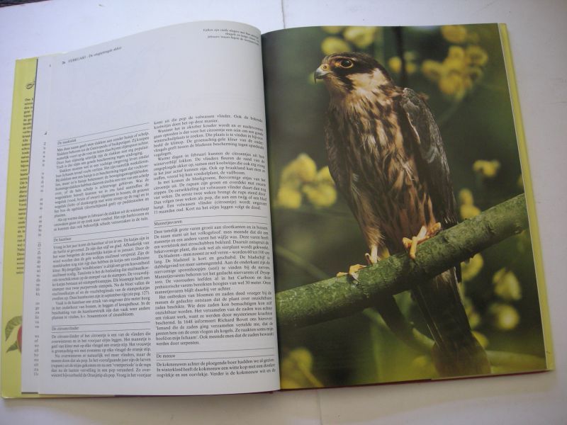 Clucas,Philip, tekst,fotogr.en illustr. / Beekman, vert.en bew. - De Natuur, van maand tot maand (Country Seasons)