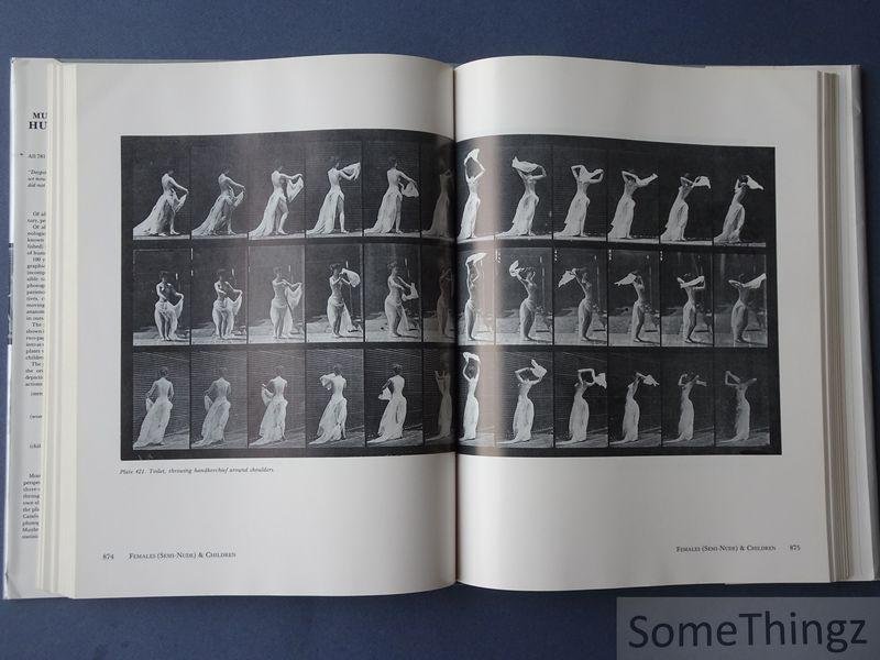 Eadweard Muybridge. - Muybridge's complete human and animal locomotion. All 781 plates from the 1887 Animal Locomotion by Eadweard Muybridge. Volume II.