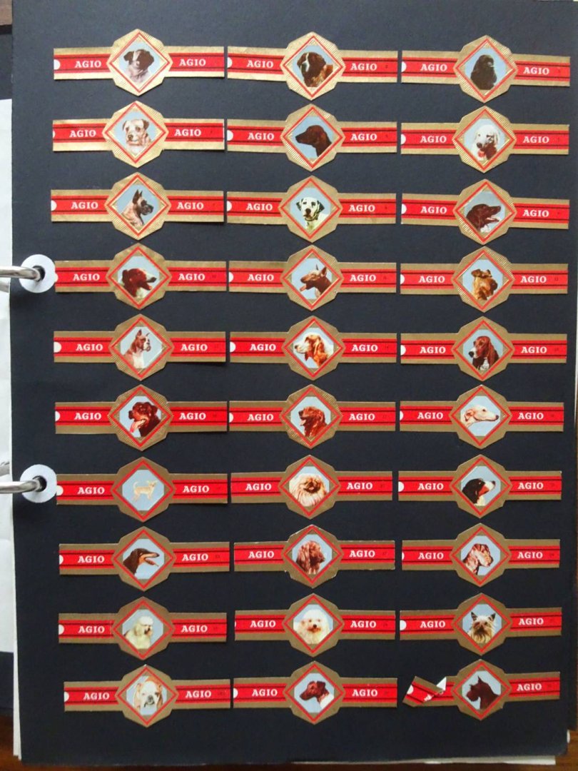 N.n. - Sigarenbandjes.  4 Albums met circa 5000 sigarenbandjes van hoofdzake-                                                                           lijk Nederlandse sigarenfabrieken.