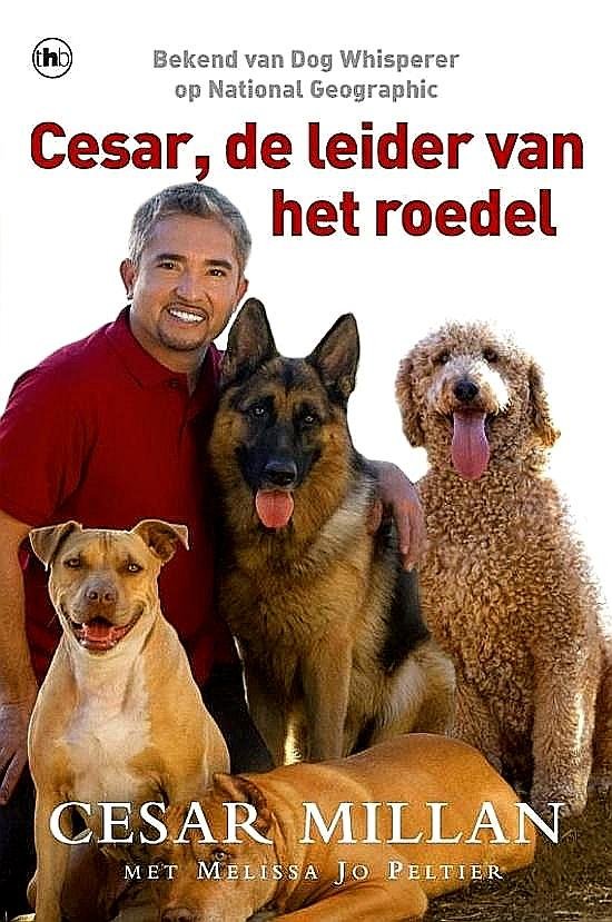 Millan , Cesar . &  Melissa Jo Peltier [ ISBN 9789044331554 ] 1923 - Cesar, de Leider van het Roedel. ( In Cesar, de leider van het roedel gaat Cesar Millan verder in op de vaardigheden en inzichten die elke hondenbezitter nodig heeft om een echte pack leader te worden. Cesar geeft aan hoe belangrijk het is om -
