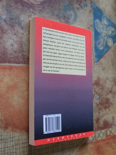 Plass, Adrian - De springkussenmethode. Zienswijzen van een gelovige buitelaar