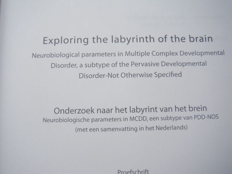 Lahuis, B. - Exploring the labyrinth of the brain