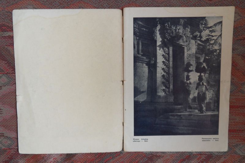 Dorp, G.C.T. van (uitgever/produktie). - Roepa-Roepa Gambar dari Djawa-Bali dan Soematra. vrije vertaling: Tekening van het leven van Java-Bali en Sumatra.