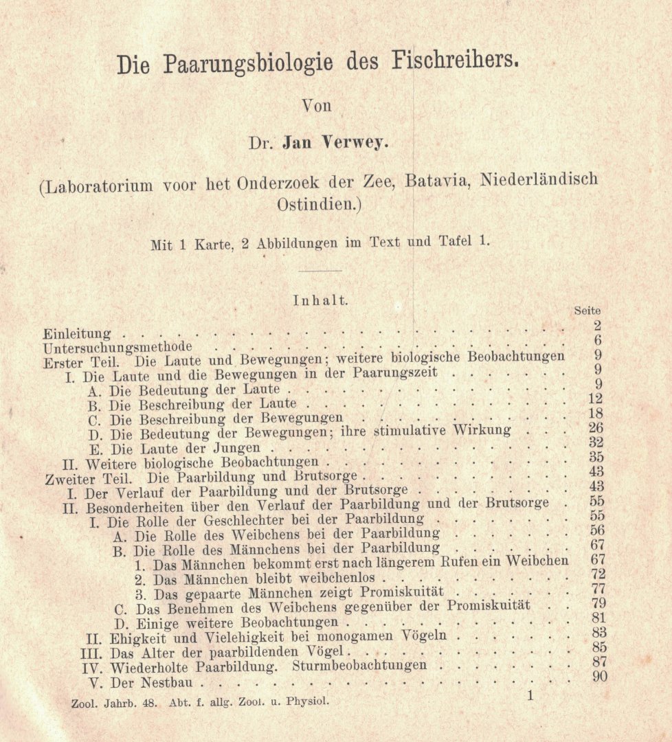 Verwey, Dr. Jan - Die Paarungsbiologie des Fischreihers (Laboratorium voor het Onderzoek der Zee, Batavia, Niederländisch Ostindien.)
