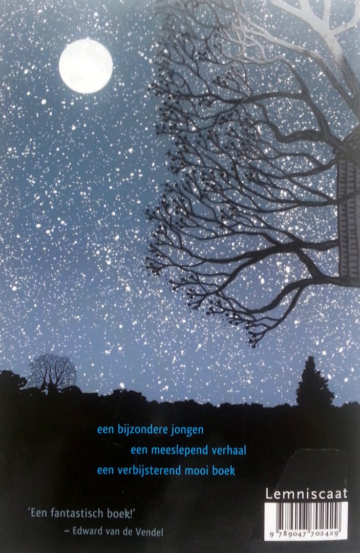 Stork, Francisco X. - Marcelo en de echte wereld