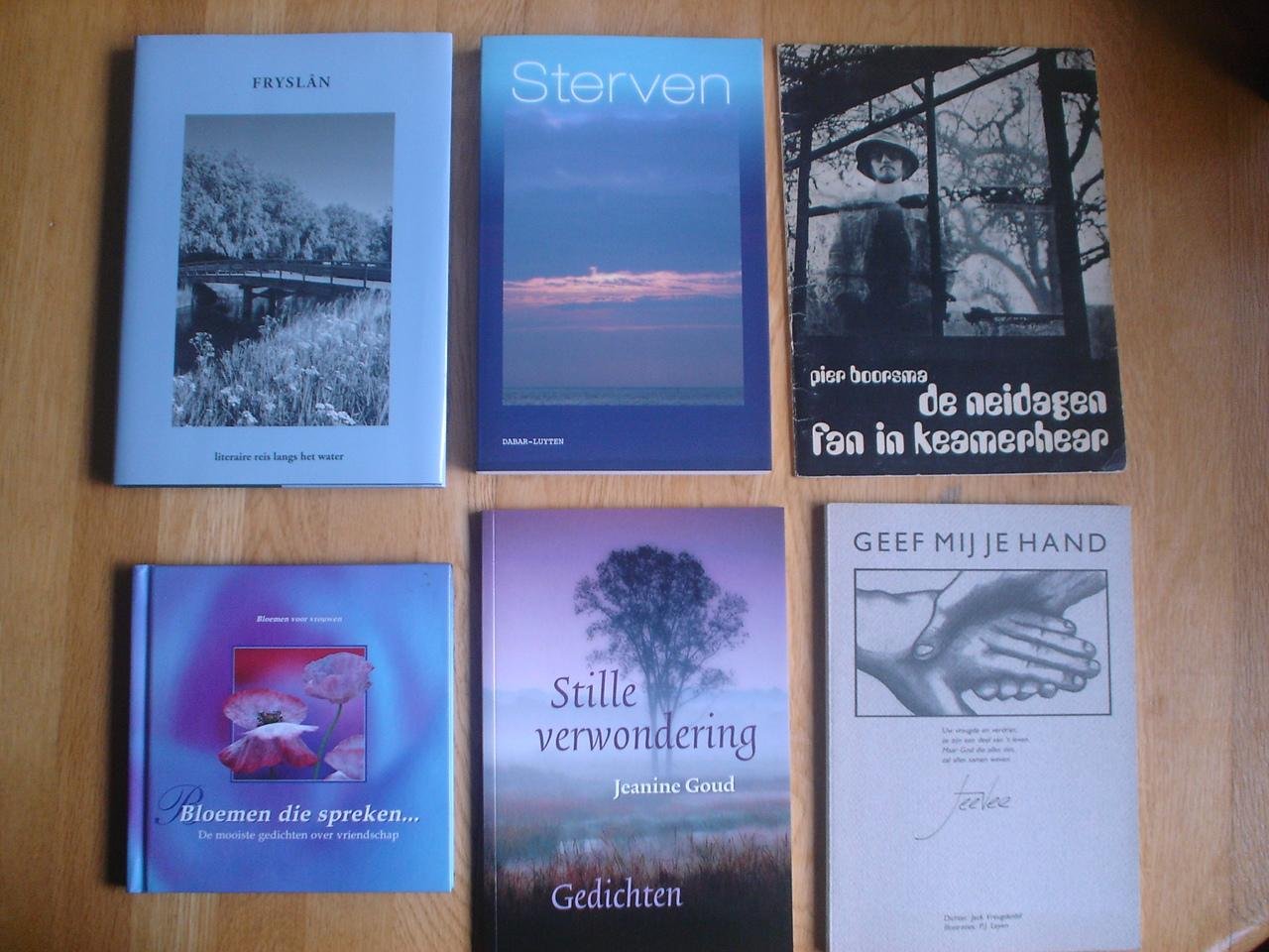 Diverse gedichtenbundels / 1. verzen voor Mei-Han 2. Of je wilt of niet 4.Klare luchten 7. Wakker worden in het licht  8. De 100 / honderd mooiste Groningse gedichten - Diverse bundels vanaf 4,50 euro  Zie meer info // 9. Fryslan, literaire reis langs het water 10. Bloemen die spreken  11. Stille verwondering 12. Geef mij je hand  13. Sterven, twaalf beschouwingen