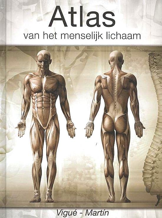 Vigué-Martin . & Studio Imago . [ ISBN 9789036630658 ] & DVD box [ ISBN 8717496856470 ] 5219 - Boek & 3 DVD' Het Menselijk Lichaam . & En het Boek De Atlas van het Menselijk Lichaam . ( Het menselijk lichaam is een geweldige machine die een groot aantal taken uitvoert. Om al deze taken uit te kunnen voeren zijn er specifieke lichaamssystemen -