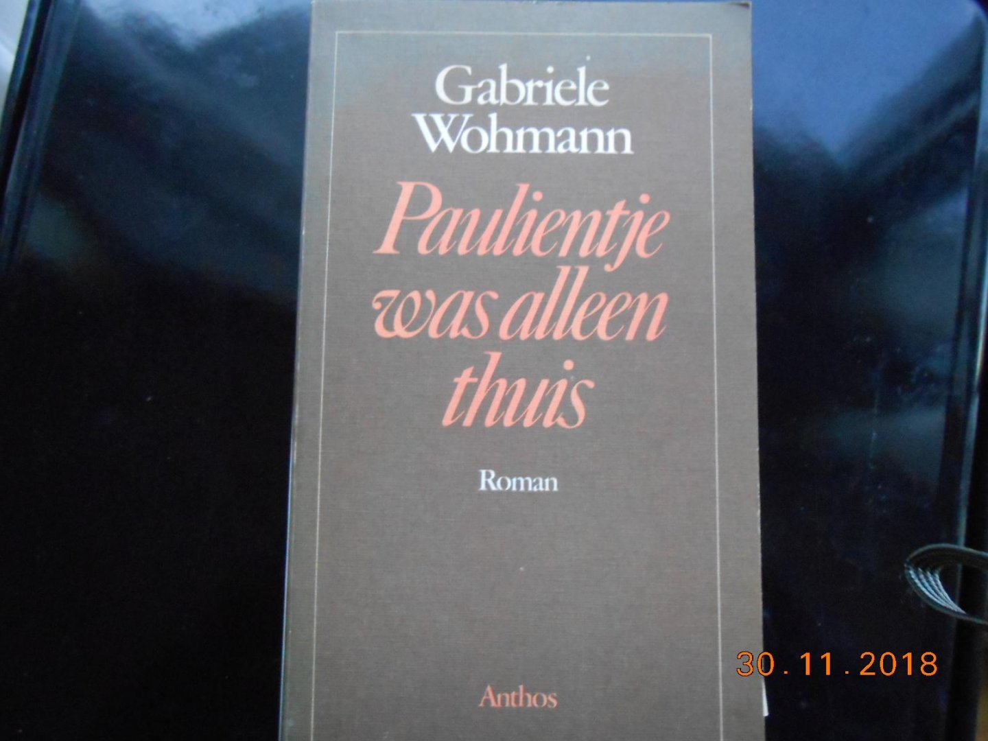 Wohmann Gabrielle - Paulientje was alleen thuis / druk 1