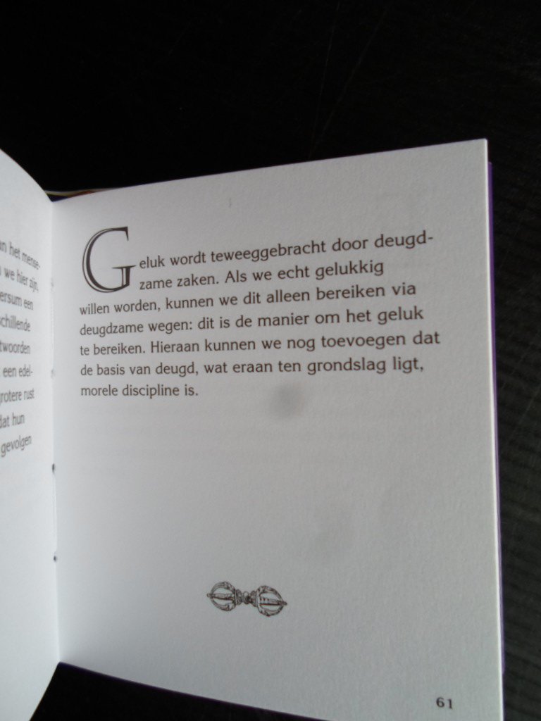 Dalai Lama - De essentie van het Evenwicht