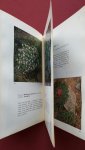 argyropoulo, kaity a. - wild flowers of greece argyropoulo, kaity a. - wild flowers of greece