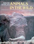 Skinner, John - South African Animals In The Wild