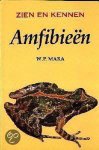 W.P. Mara - Amfibieen / Zien en kennen