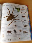 Llewellyn, Claire - Dat zoek ik op! Mijn eerste encyclopedie