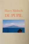 Mulisch, Harry - De pupil