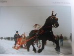 Bouma G.J.A., E Dijkstra en A. Osinga - 'Het Friese Paard' ,