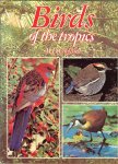 England, M.D.  Text and photographs - Birds of the tropics