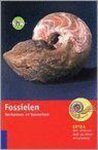 Gerhard Lichter - Fossielen herkennen en benoemen