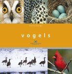 Joanna Burger - Vogels een topboek voor iedere vogelliefhebber