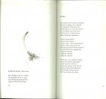 Wys Ivo de  ..  Met tekeningen van Kees van Scherpenzeel  In samenwerking met Letty  Kosterman - Vroege vogels vliegen ..  Een keuze uit de voor het vara-programma vroege vogels geschreven gedichten