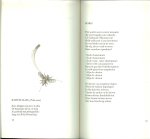 Wys Ivo de  ..  Met tekeningen van Kees van Scherpenzeel  In samenwerking met Letty  Kosterman - Vroege vogels vliegen ..  Een keuze uit de voor het vara-programma vroege vogels geschreven gedichten