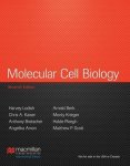Harvey Lodish - Molecular Cell Biology International Edition
