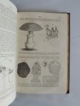 Thome, Otto Wilhelm - Lehrbuch der Botanik : für Realschulen, Gymnasien, forst- und landwirthschaftliche Lehranstalten, pharmaceutische Institute etc. sowie zum Selbstunterrichte