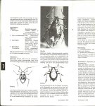 Kronenberg, H.G en F.A. Hakkaart  met  D. Mulder  en C.F. van de Bund - Orchideeen, Extra uitgave ziekten en plagen, 40e jaargang no.4a