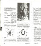 Kronenberg, H.G en F.A. Hakkaart  met  D. Mulder  en C.F. van de Bund - Orchideeen, Extra uitgave ziekten en plagen, 40e jaargang no.4a