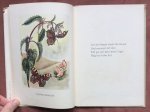 Lippmann-Pawlowski, Mila (Bilder) and Köhler, Anny (Text) - Schmetterlingszauber; wer gerne Falter und Blumen schaut, dem sei dies Büchlein anvertraut