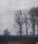 SCHELFHOUT, Honoré (editor) - Mijn vlakke land My Flat Land (tweetalig: engels-nederlands)