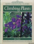 Taylor, Jane - Climbing Plants