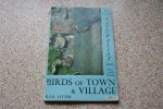 R.S.R. Fitter - Birds of Town and Village (The Country Naturalist)